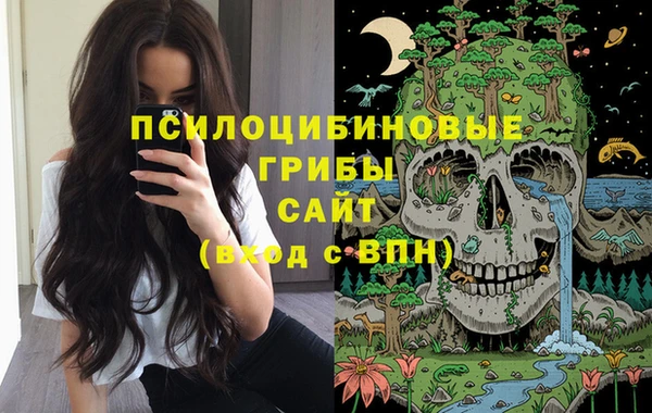 стаф Нязепетровск
