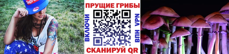 Псилоцибиновые грибы Cubensis  Арамиль 