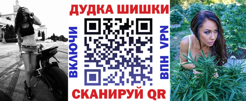 где купить Арамиль Каннабис индика